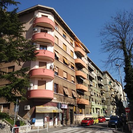 Central Zagrad Apartment 里耶卡 外观 照片