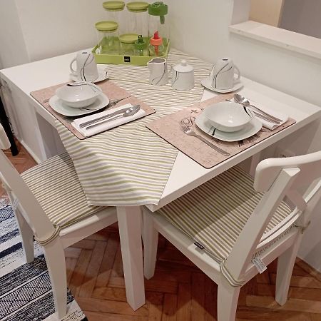 Central Zagrad Apartment 里耶卡 外观 照片