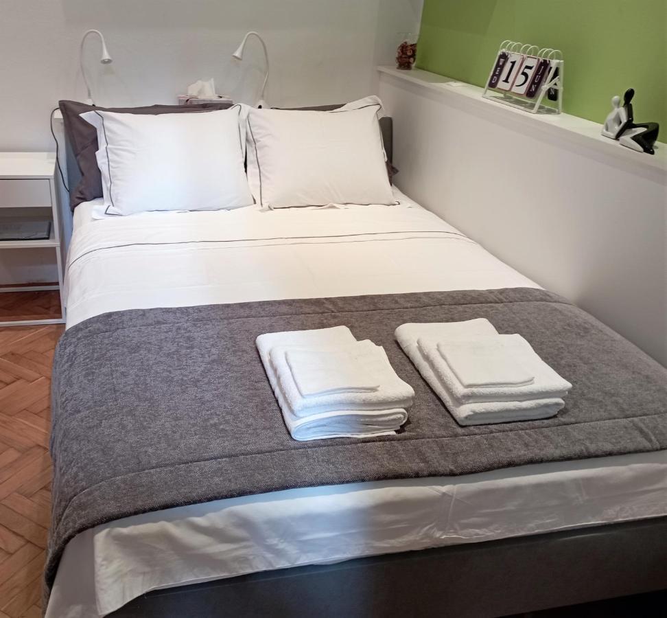 Central Zagrad Apartment 里耶卡 外观 照片