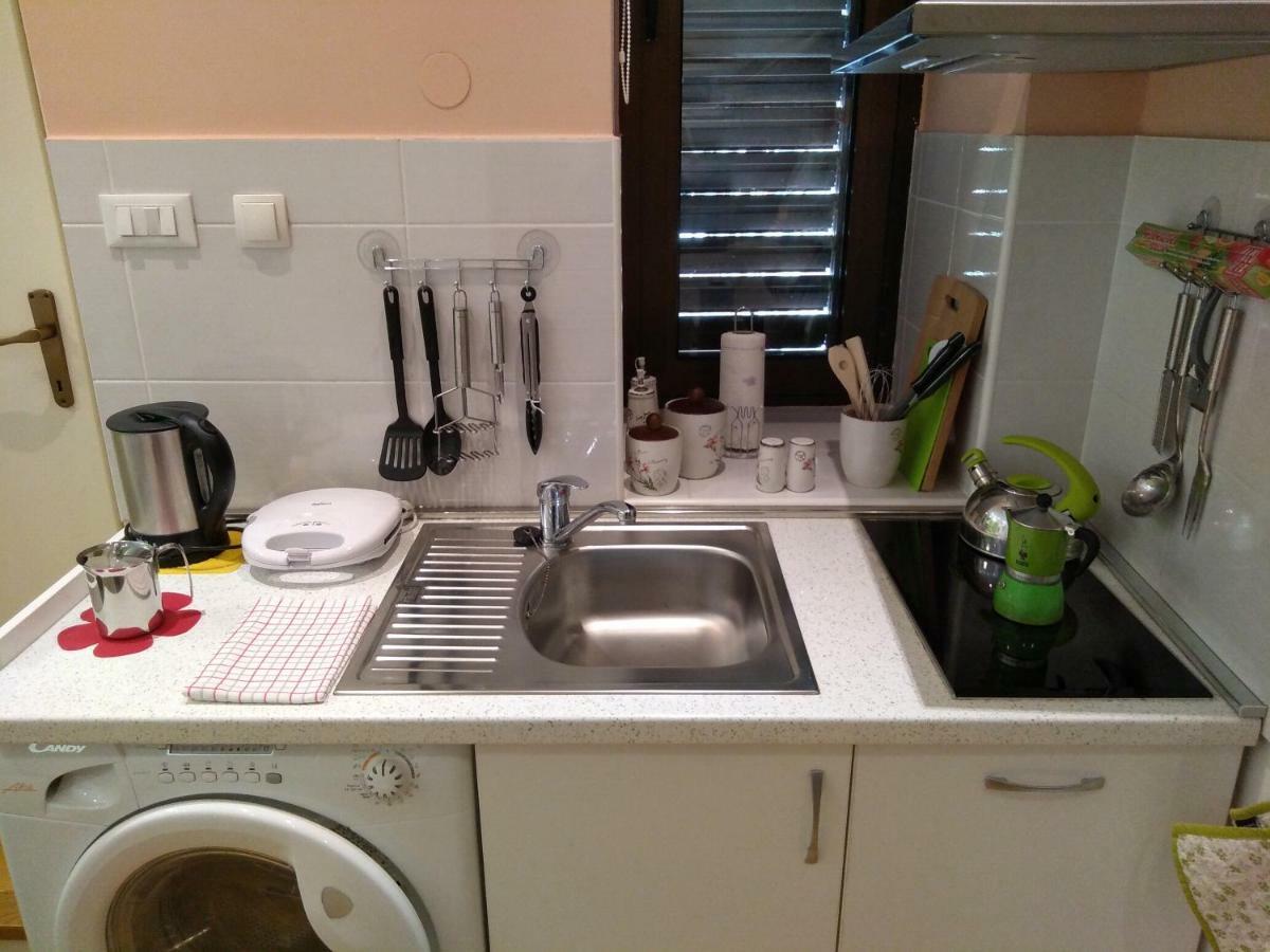 Central Zagrad Apartment 里耶卡 外观 照片