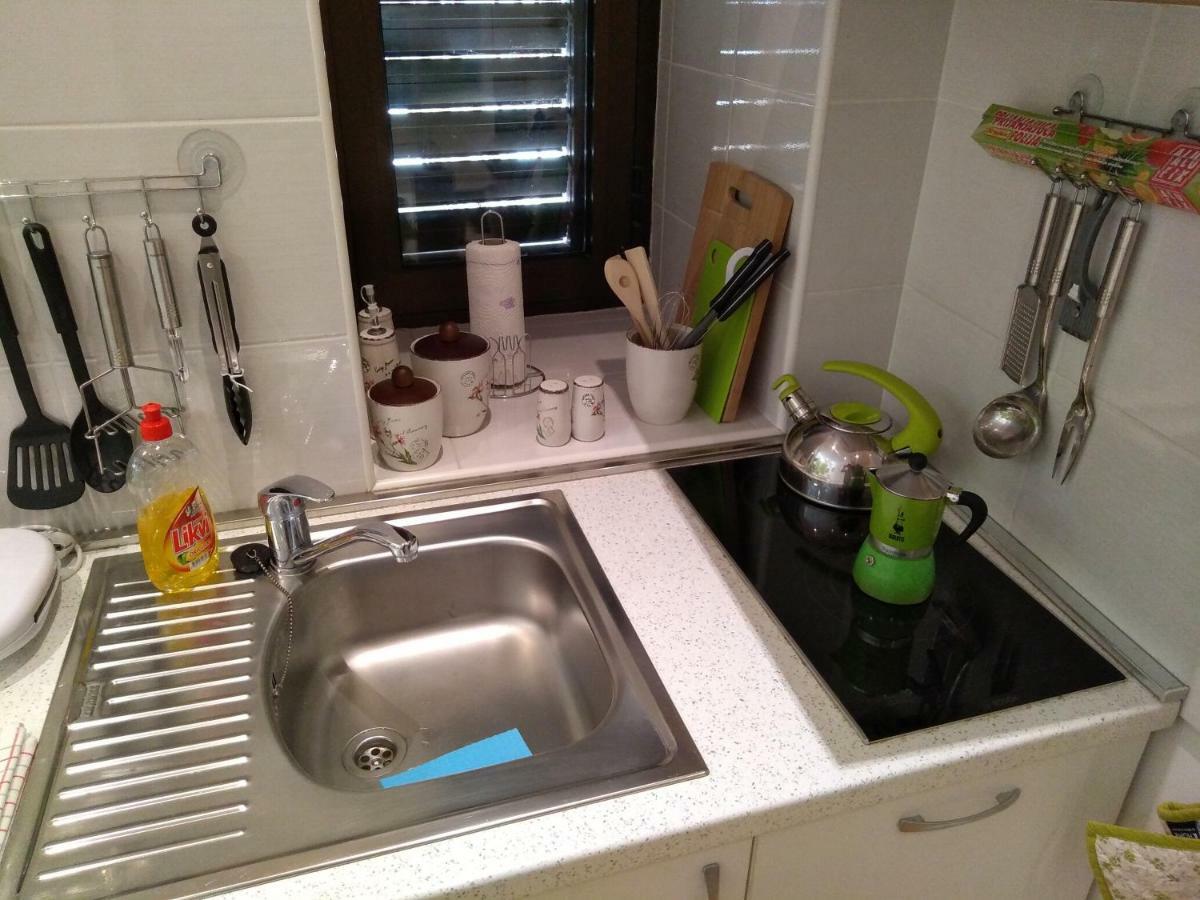 Central Zagrad Apartment 里耶卡 外观 照片