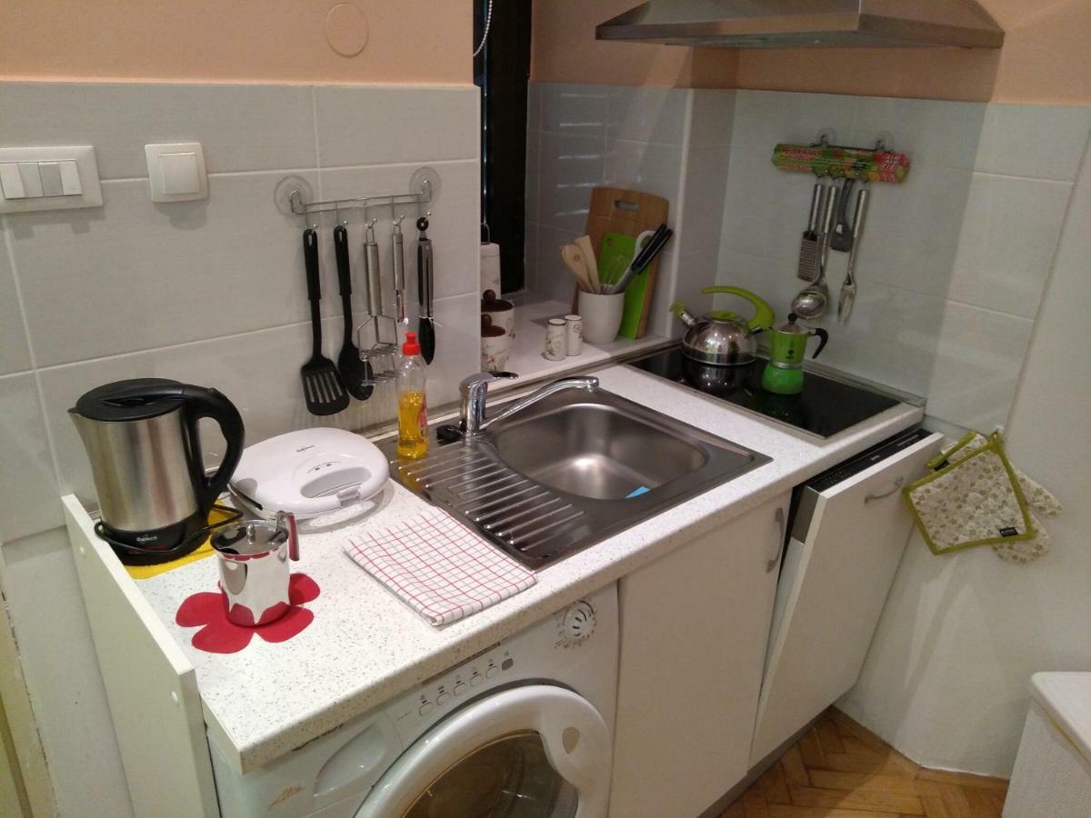 Central Zagrad Apartment 里耶卡 外观 照片