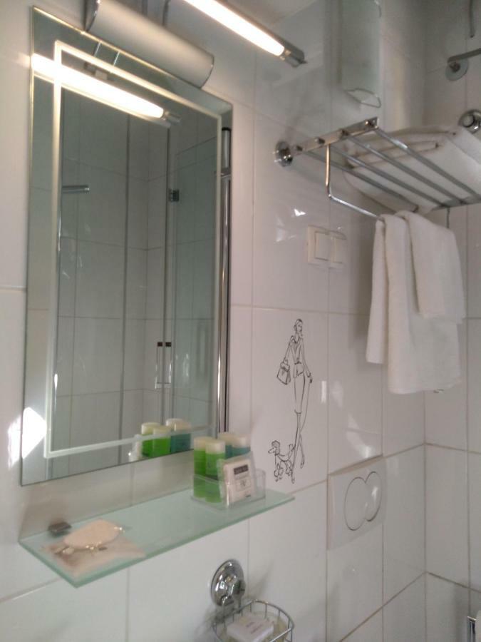 Central Zagrad Apartment 里耶卡 外观 照片