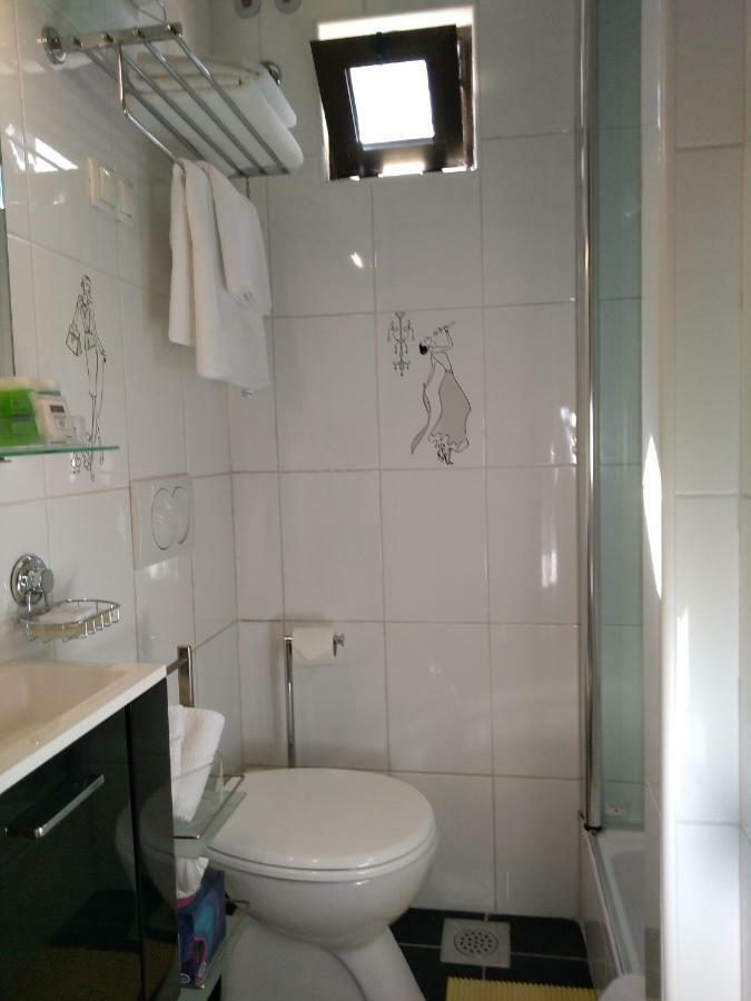 Central Zagrad Apartment 里耶卡 外观 照片